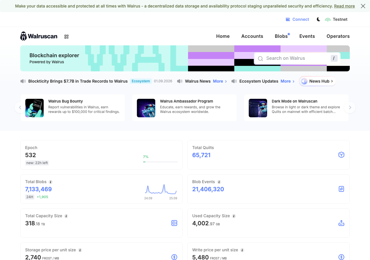 walruscan.com in the browser during the run